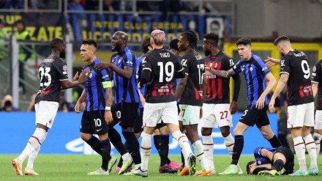 这种虫子 这种虫子